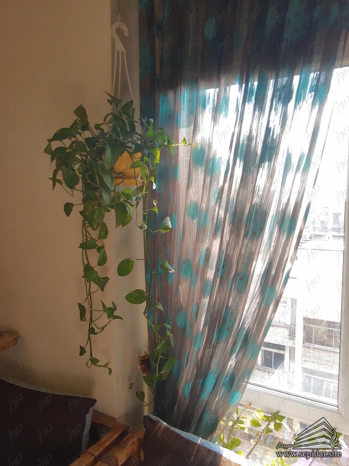 یک خوابه 49 متر / ایرانشهر رامسر