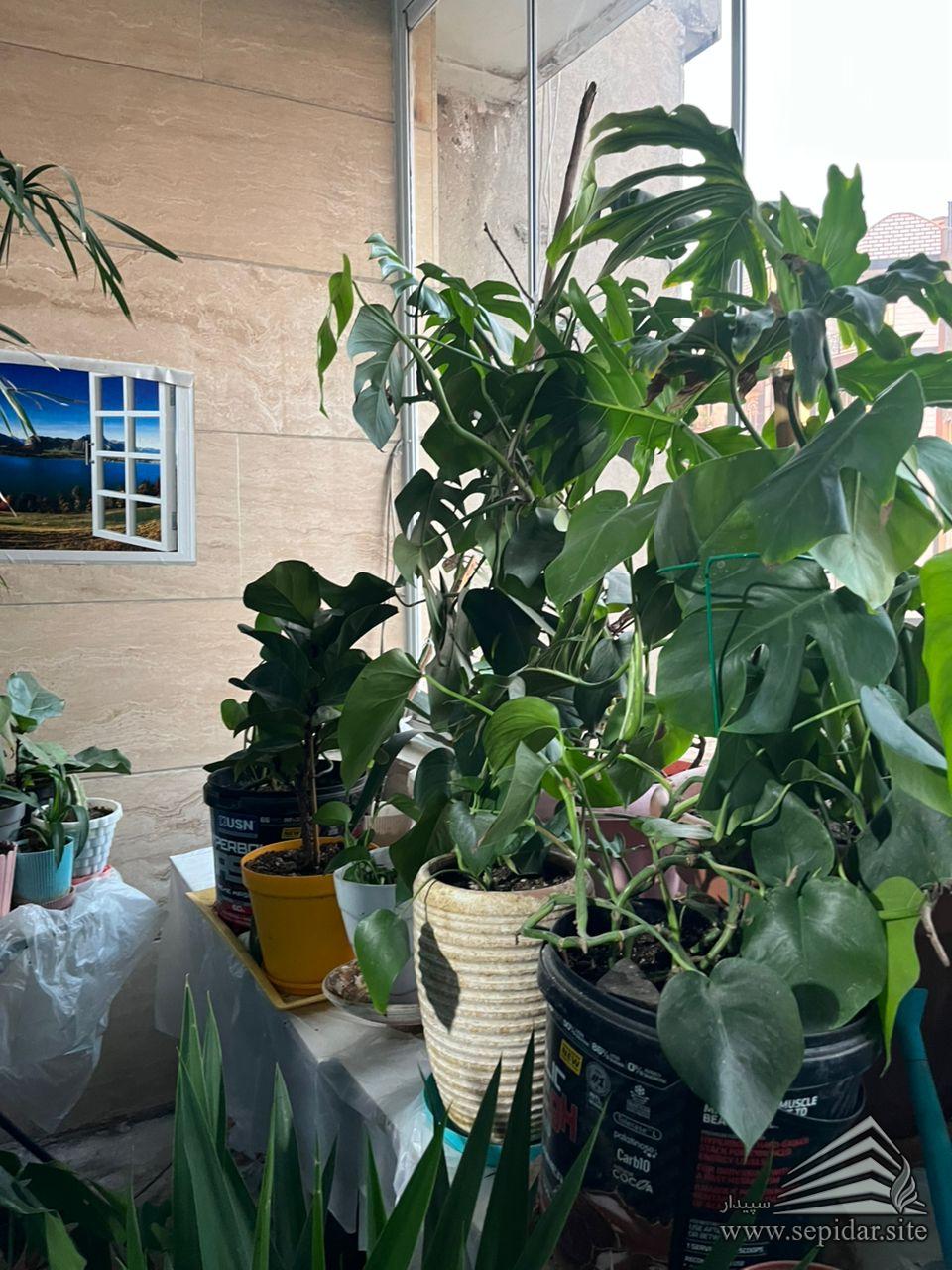 138 متر میثاق دوم